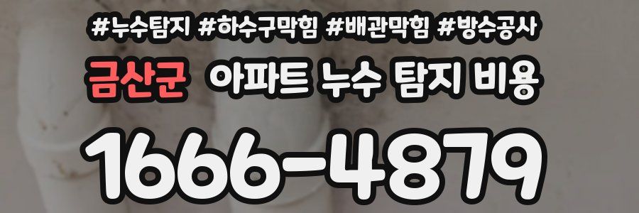 금산군 아파트 누수 탐지 비용