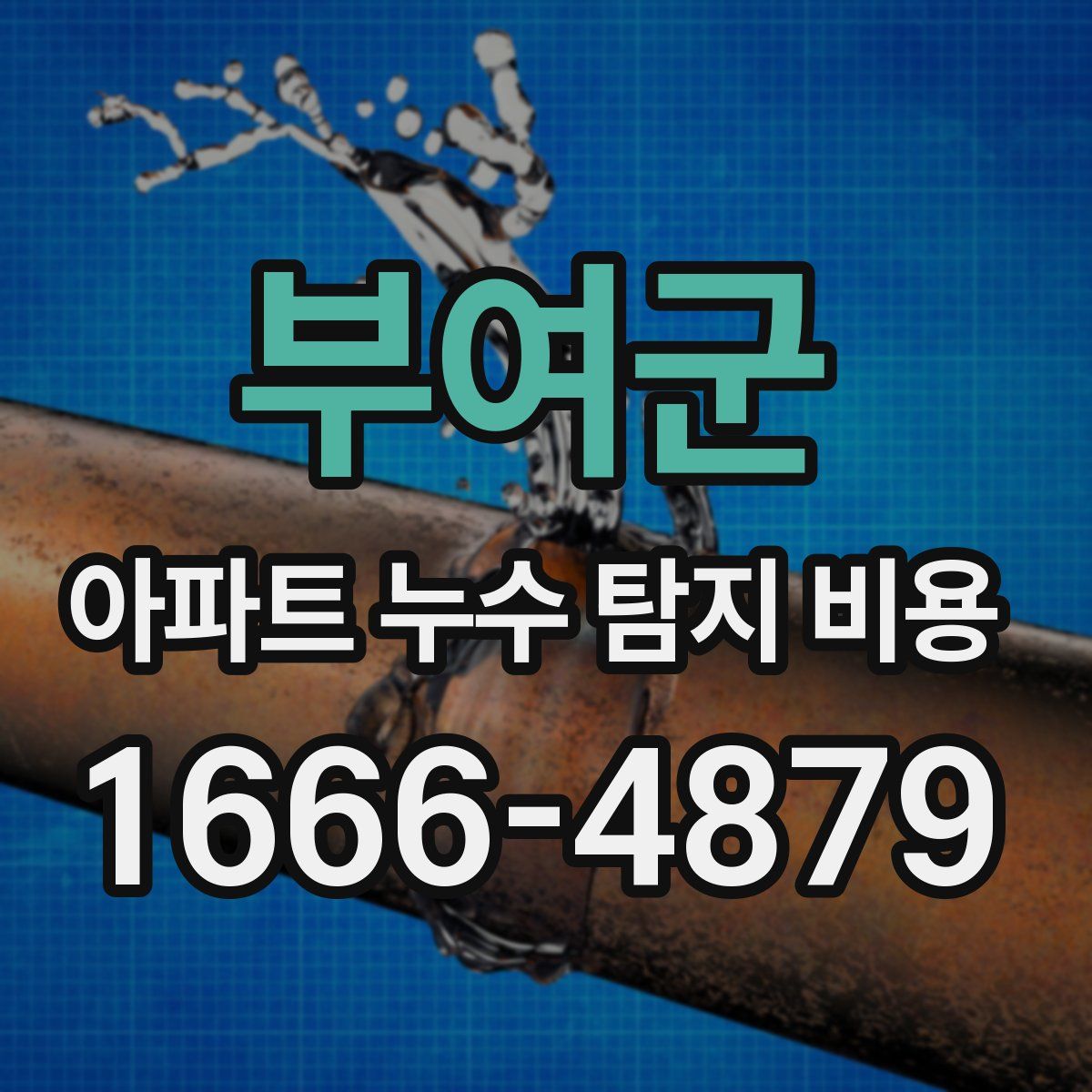 부여군 아파트 누수 탐지 비용