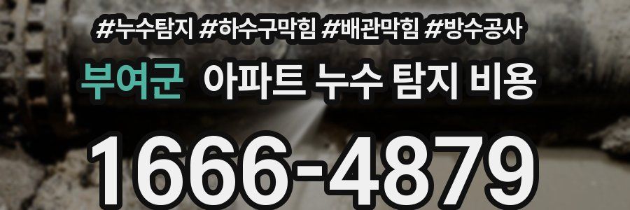 부여군 아파트 누수 탐지 비용