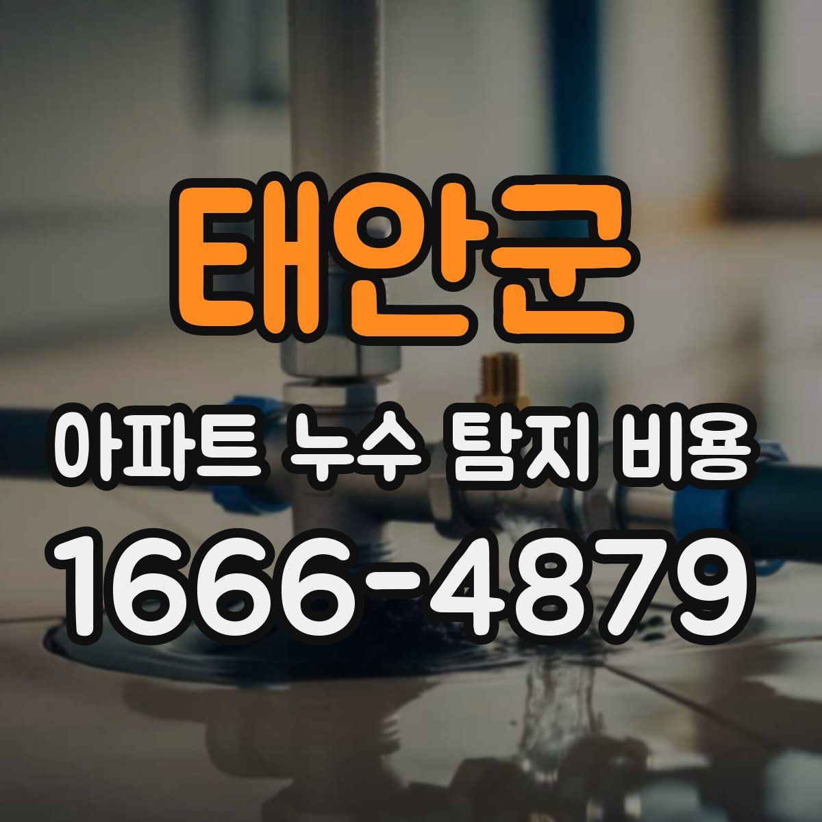 태안군 아파트 누수 탐지 비용