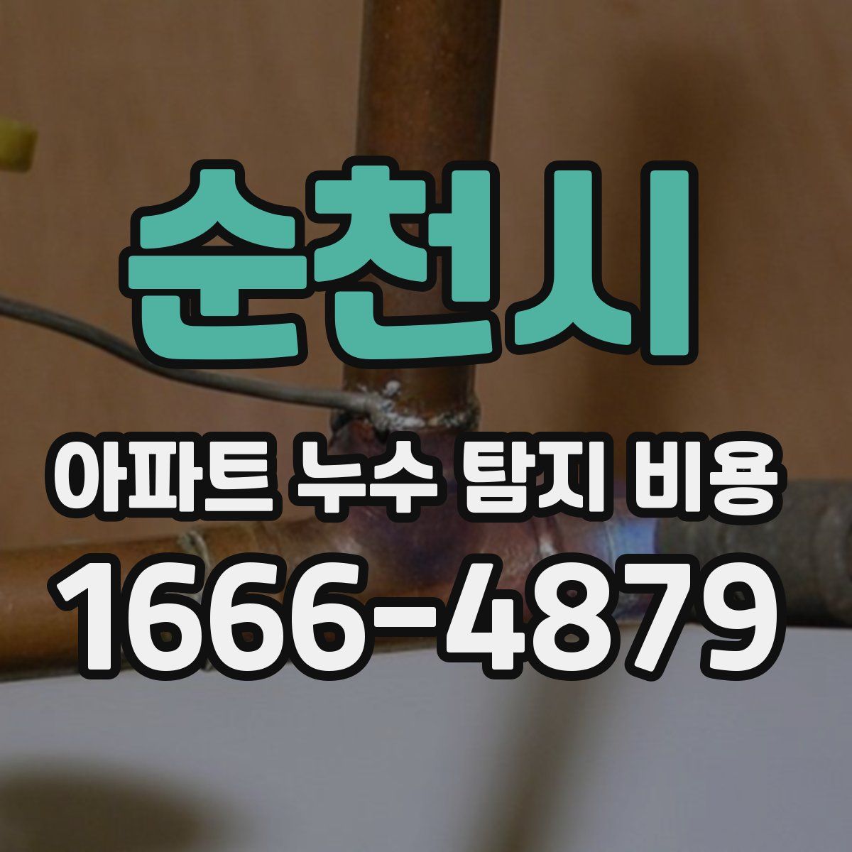 순천시 아파트 누수 탐지 비용