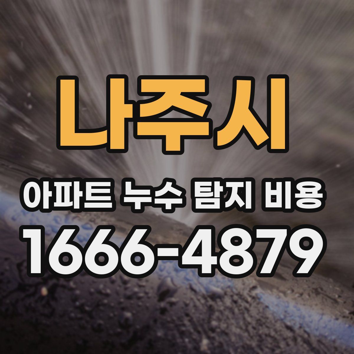 나주시 아파트 누수 탐지 비용