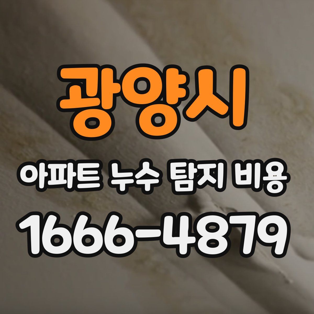 광양시 아파트 누수 탐지 비용