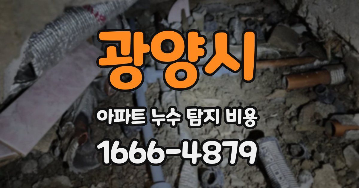 광양시 아파트 누수 탐지 비용