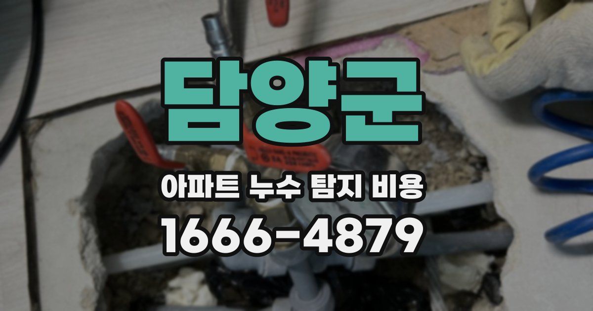 담양군 아파트 누수 탐지 비용