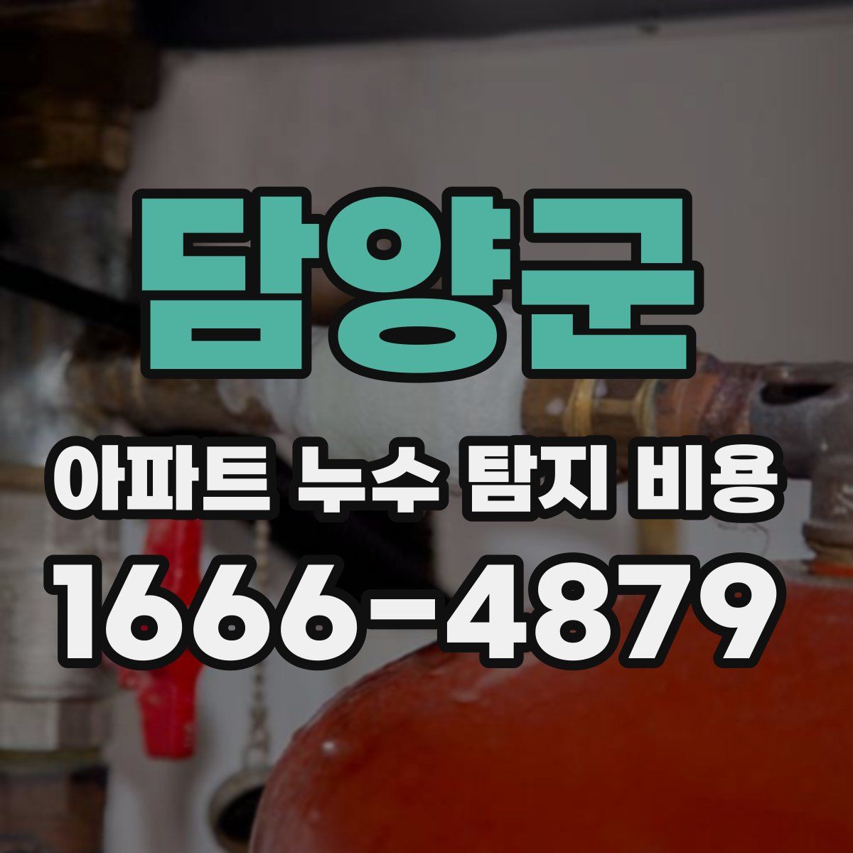 담양군 아파트 누수 탐지 비용