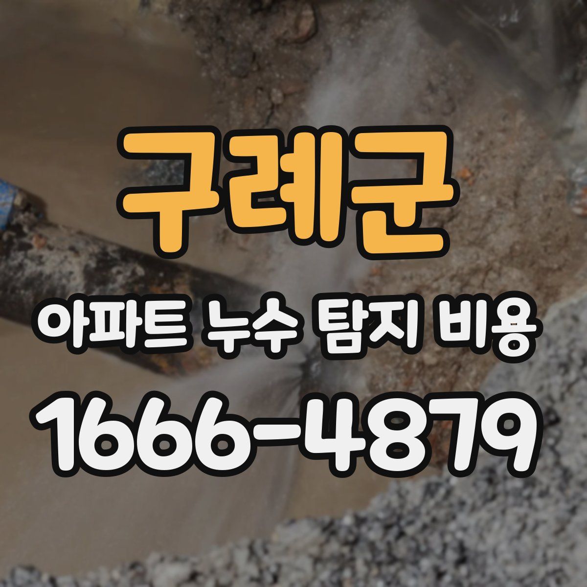 구례군 아파트 누수 탐지 비용