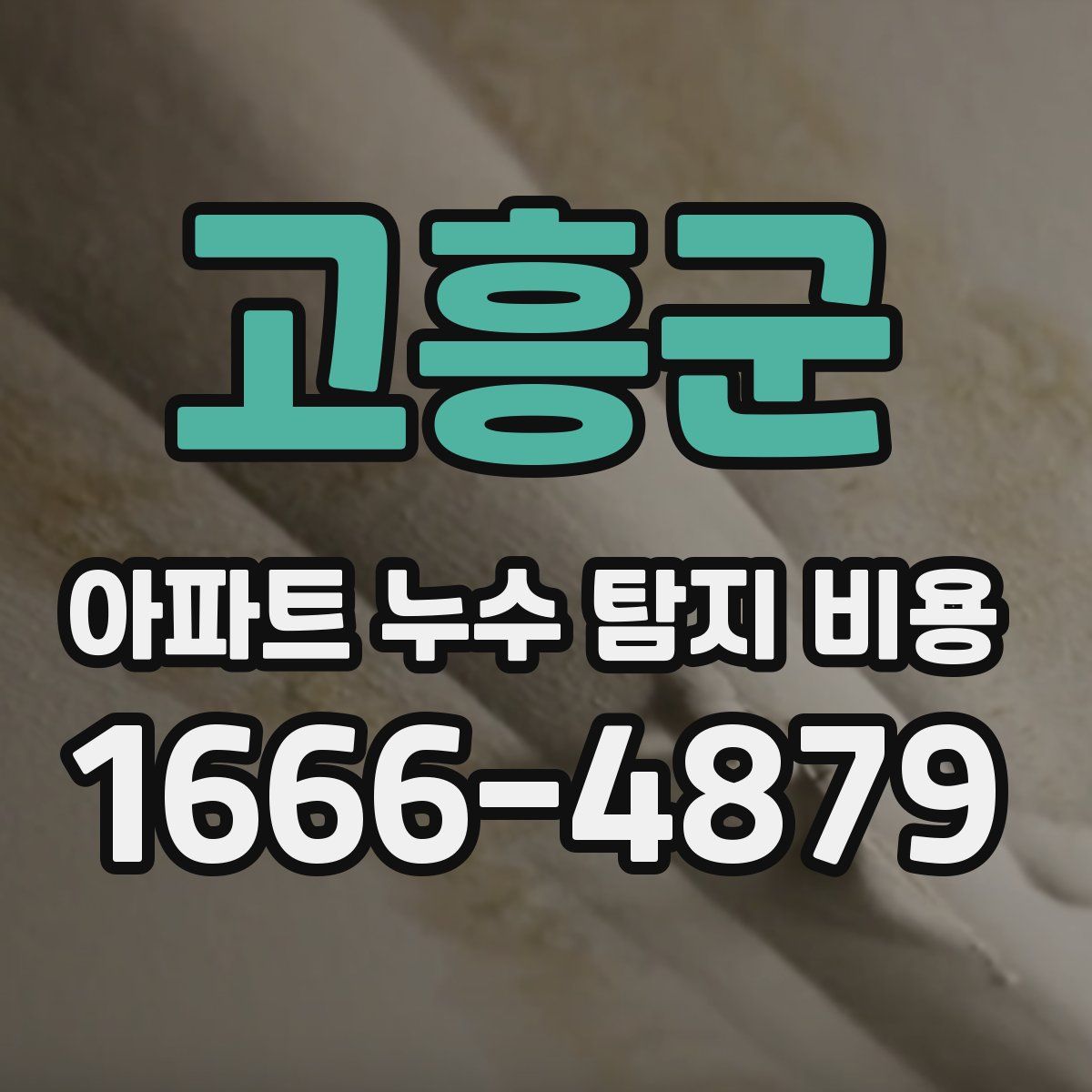고흥군 아파트 누수 탐지 비용