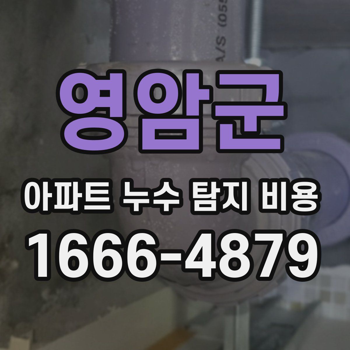 영암군 아파트 누수 탐지 비용