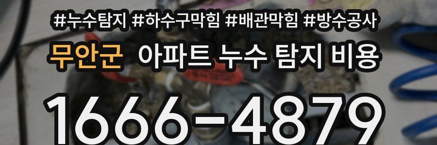무안군 아파트 누수 탐지 비용