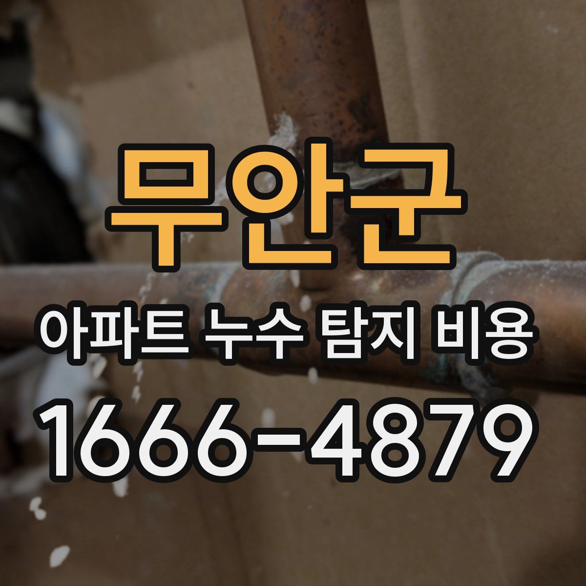 무안군 아파트 누수 탐지 비용