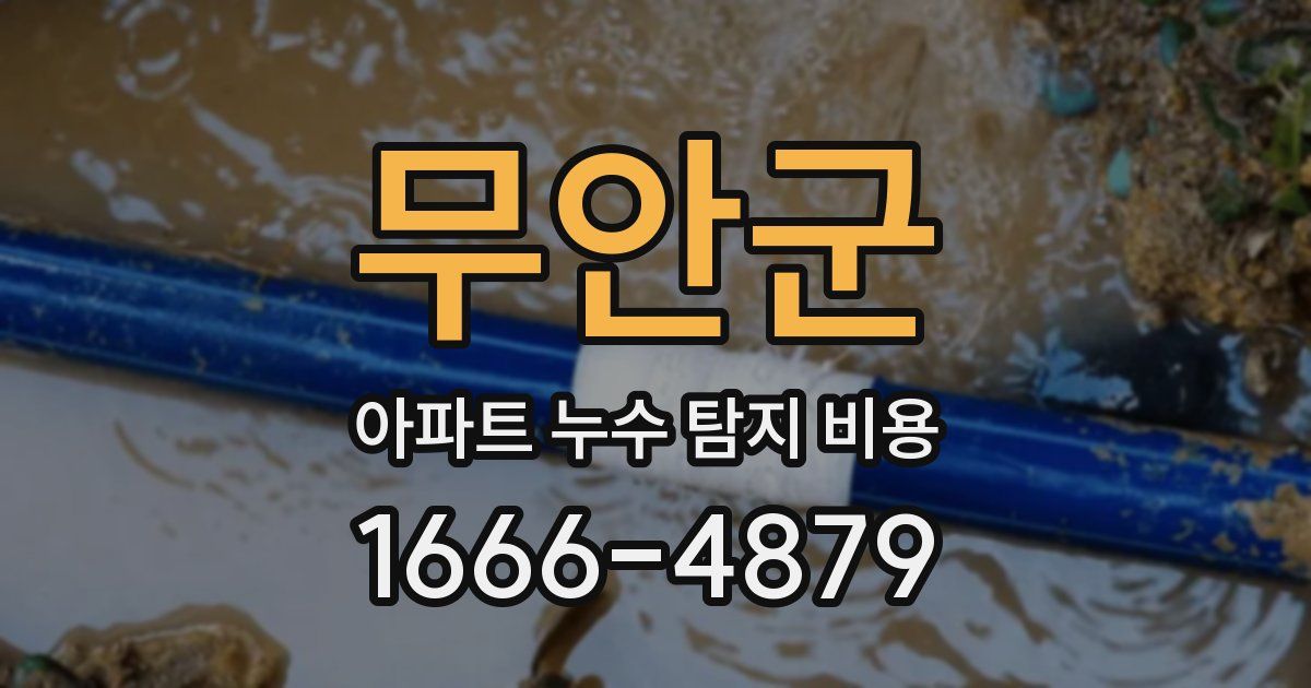 무안군 아파트 누수 탐지 비용