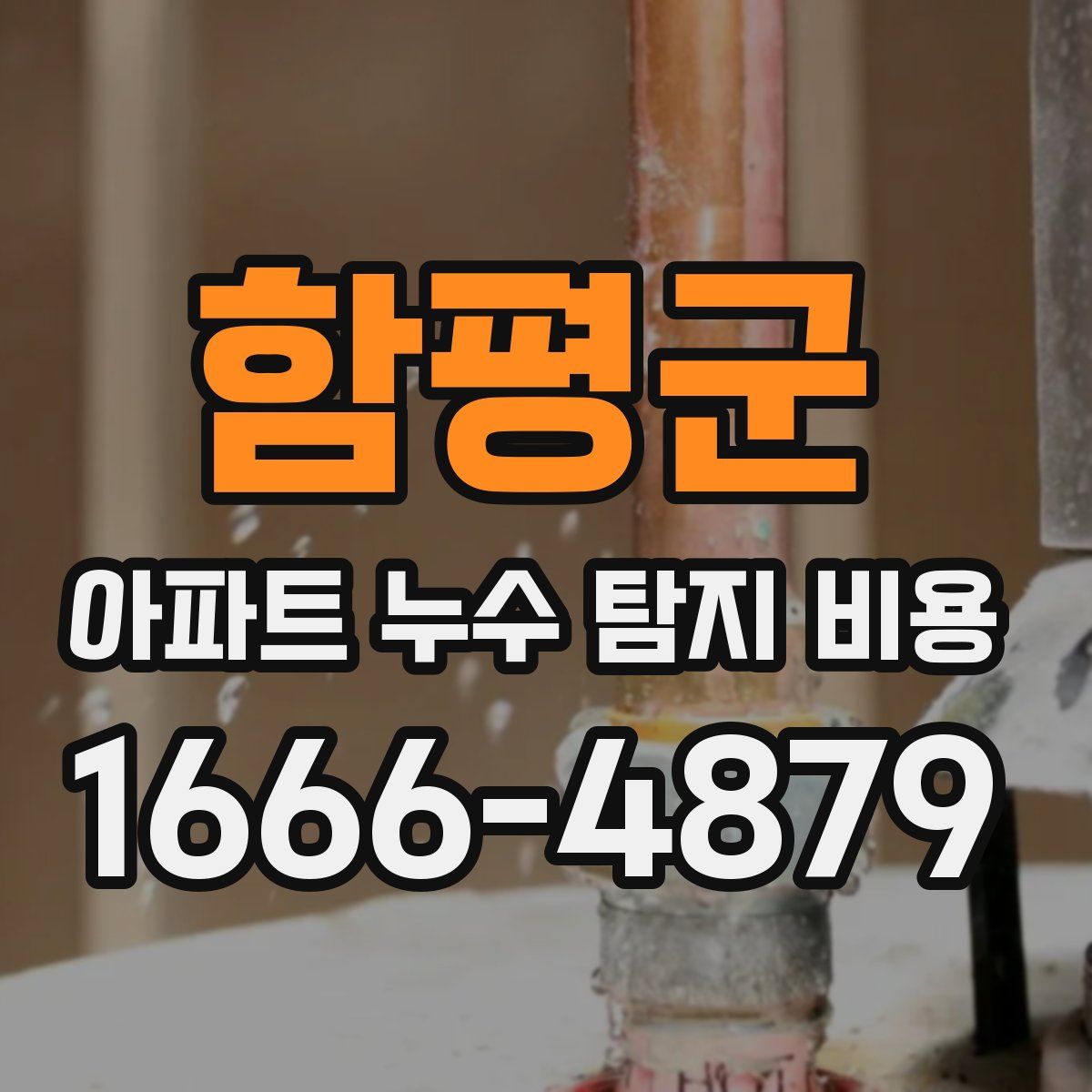 함평군 아파트 누수 탐지 비용