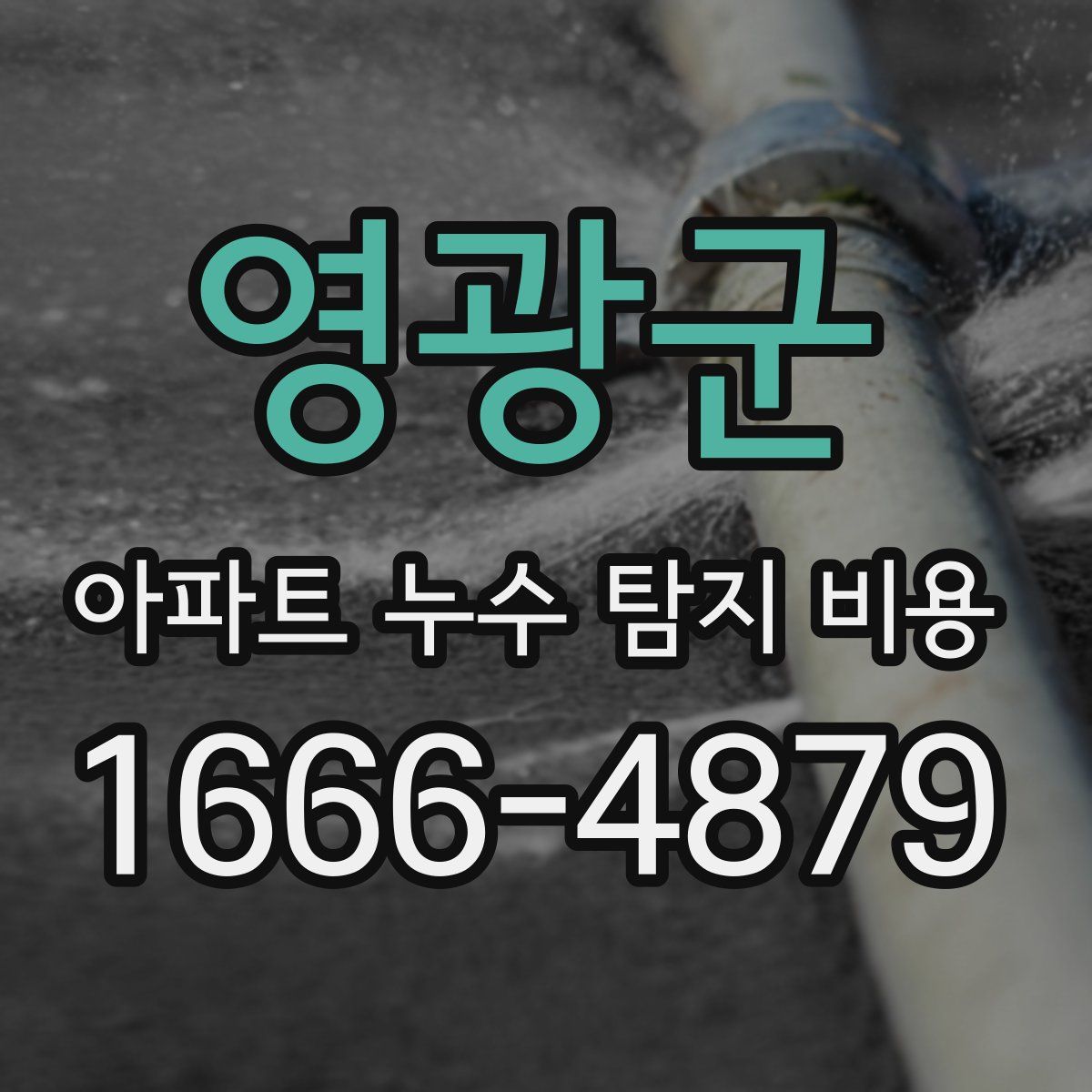 영광군 아파트 누수 탐지 비용