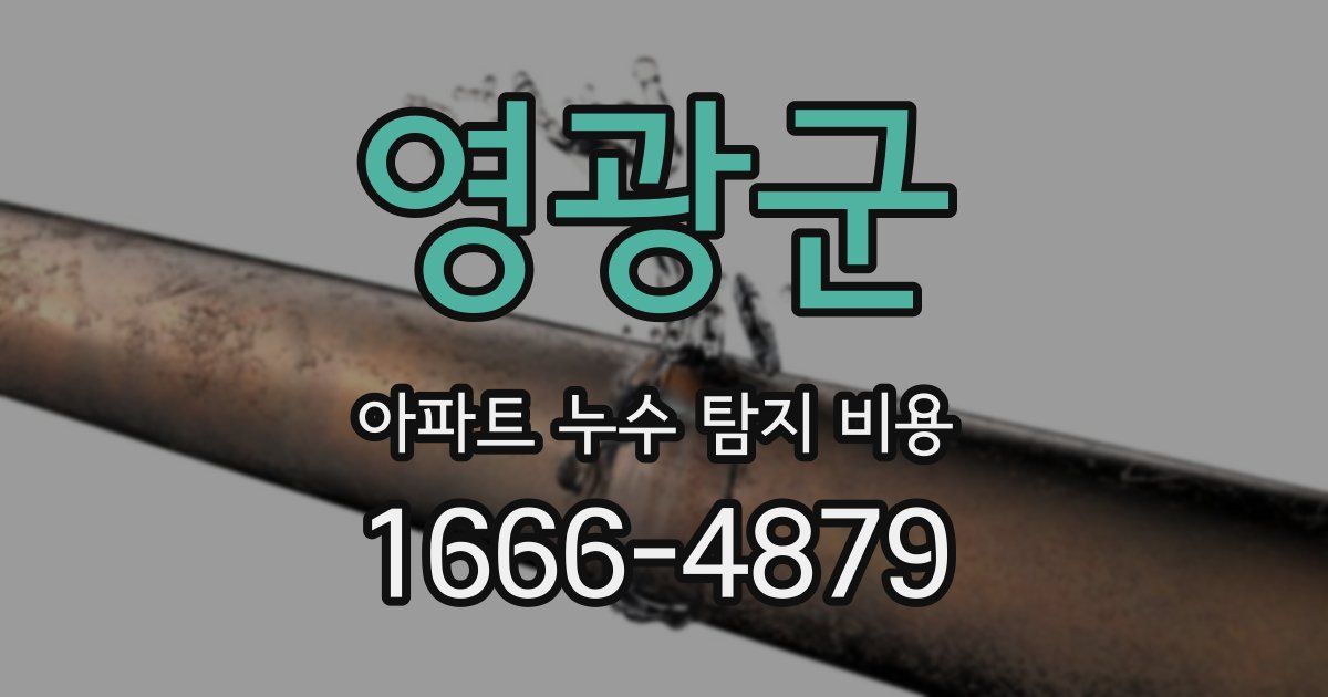 영광군 아파트 누수 탐지 비용