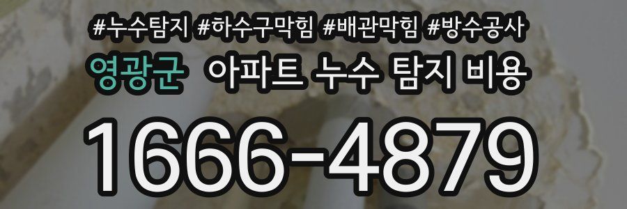 영광군 아파트 누수 탐지 비용