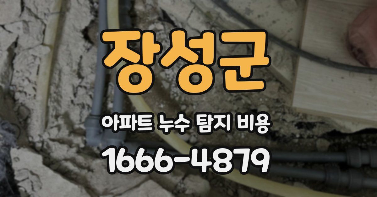 장성군 아파트 누수 탐지 비용