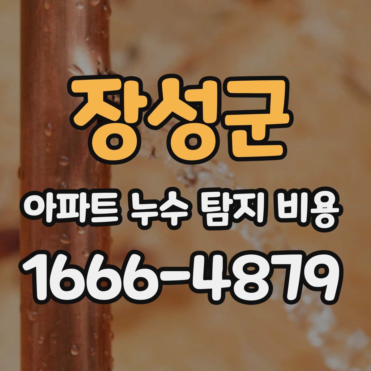 장성군 아파트 누수 탐지 비용