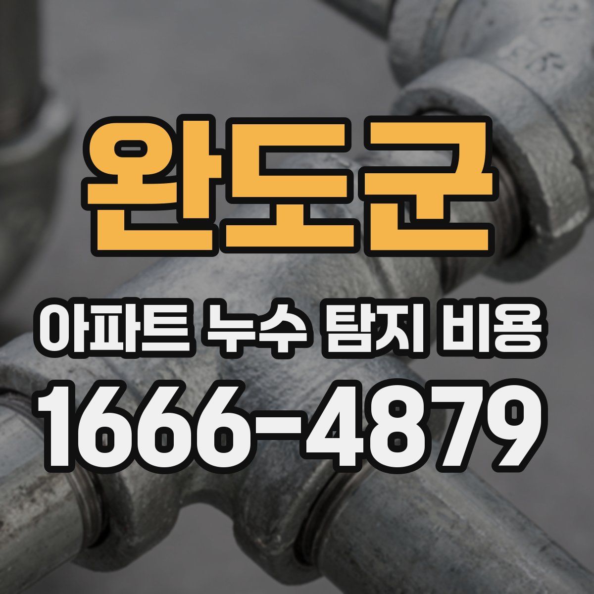 완도군 아파트 누수 탐지 비용