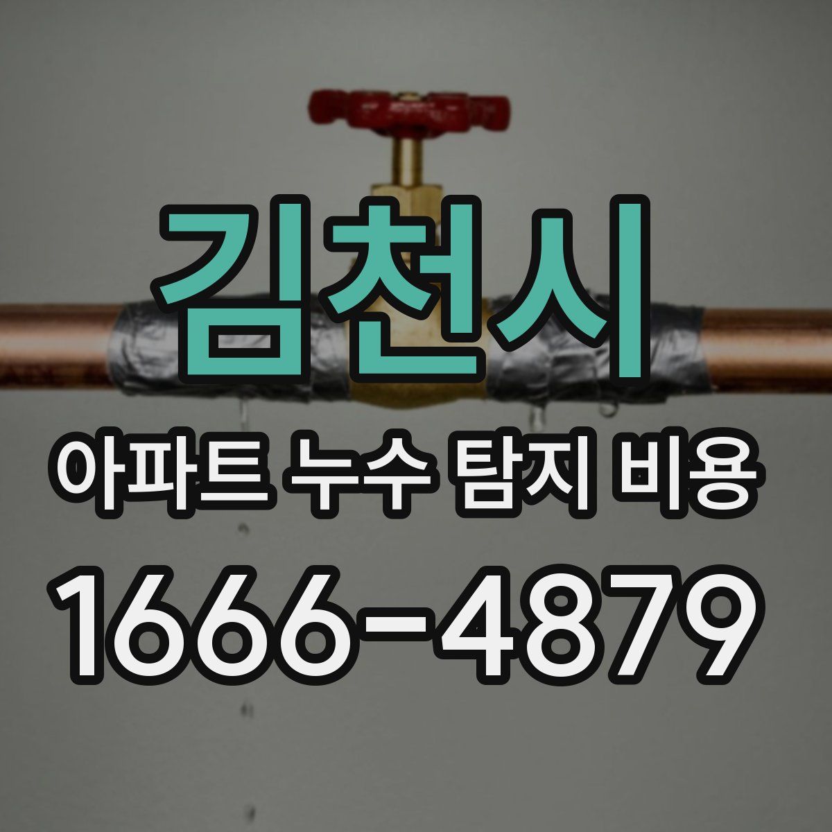 김천시 아파트 누수 탐지 비용