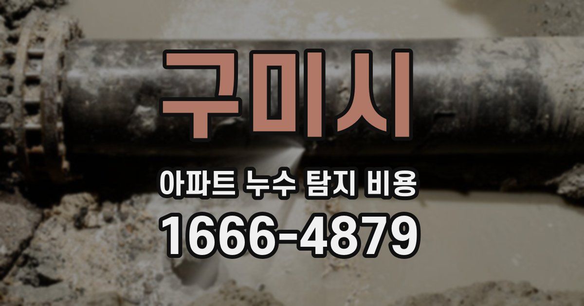 구미시 아파트 누수 탐지 비용
