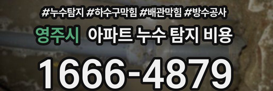 영주시 아파트 누수 탐지 비용
