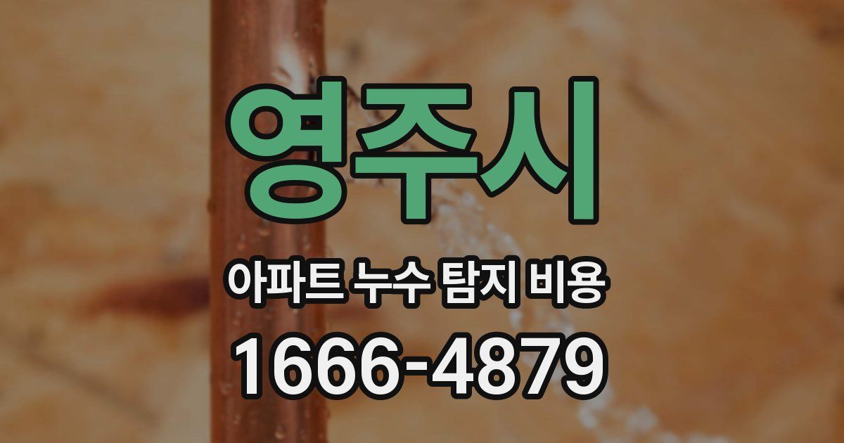 영주시 아파트 누수 탐지 비용