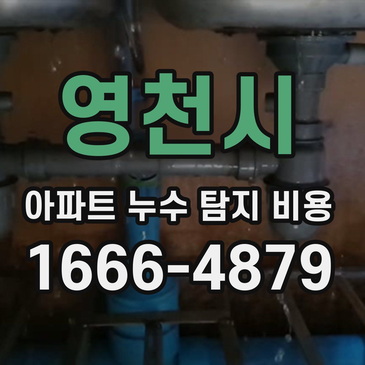 영천시 아파트 누수 탐지 비용