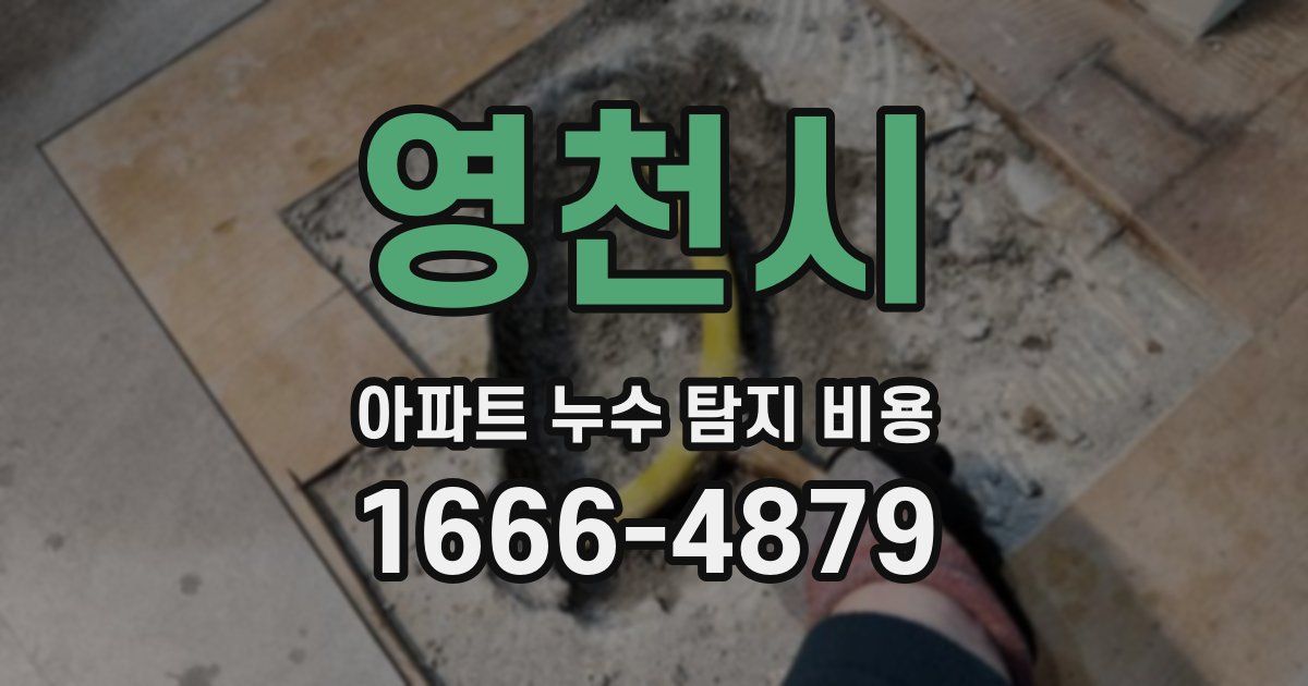 영천시 아파트 누수 탐지 비용