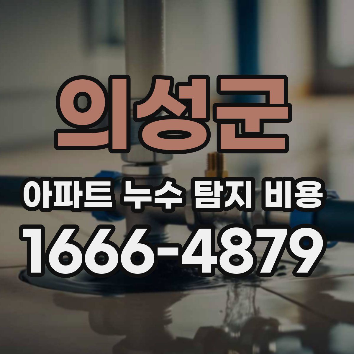 의성군 아파트 누수 탐지 비용