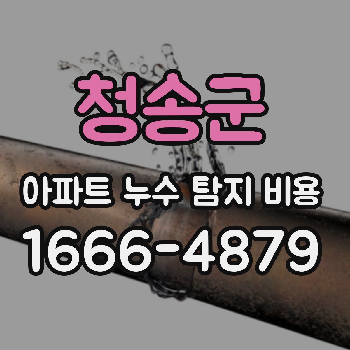 청송군 아파트 누수 탐지 비용