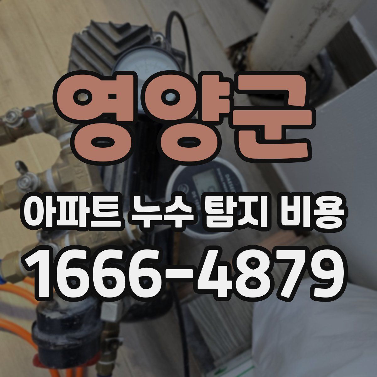 영양군 아파트 누수 탐지 비용