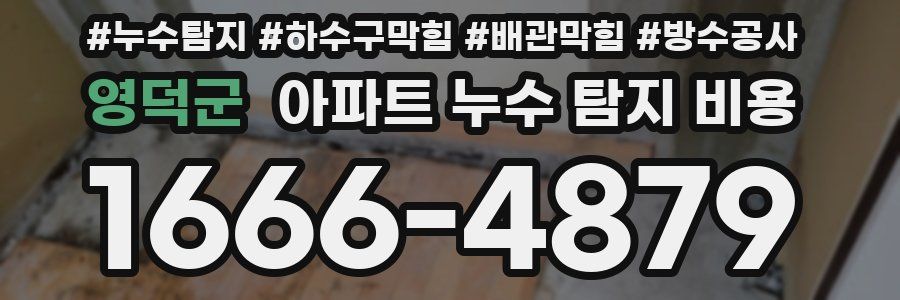 영덕군 아파트 누수 탐지 비용