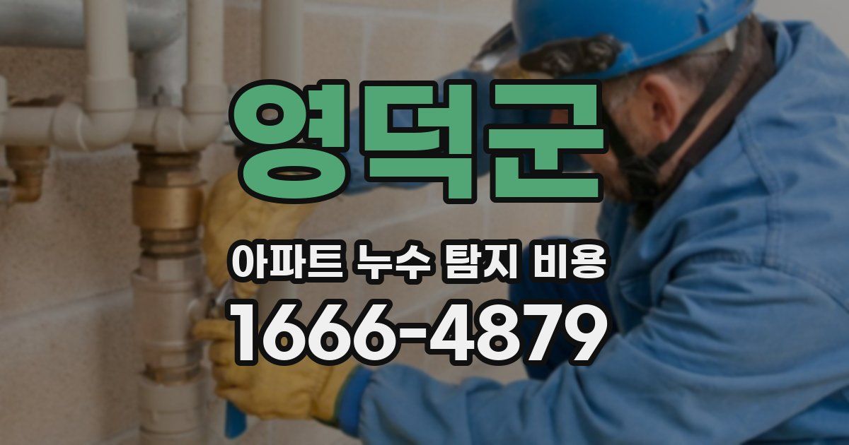 영덕군 아파트 누수 탐지 비용