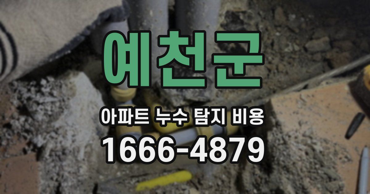 예천군 아파트 누수 탐지 비용