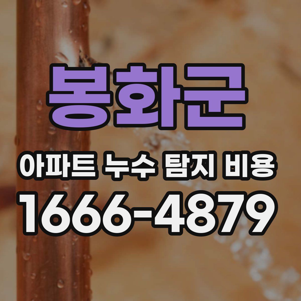 봉화군 아파트 누수 탐지 비용
