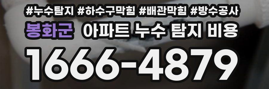 봉화군 아파트 누수 탐지 비용