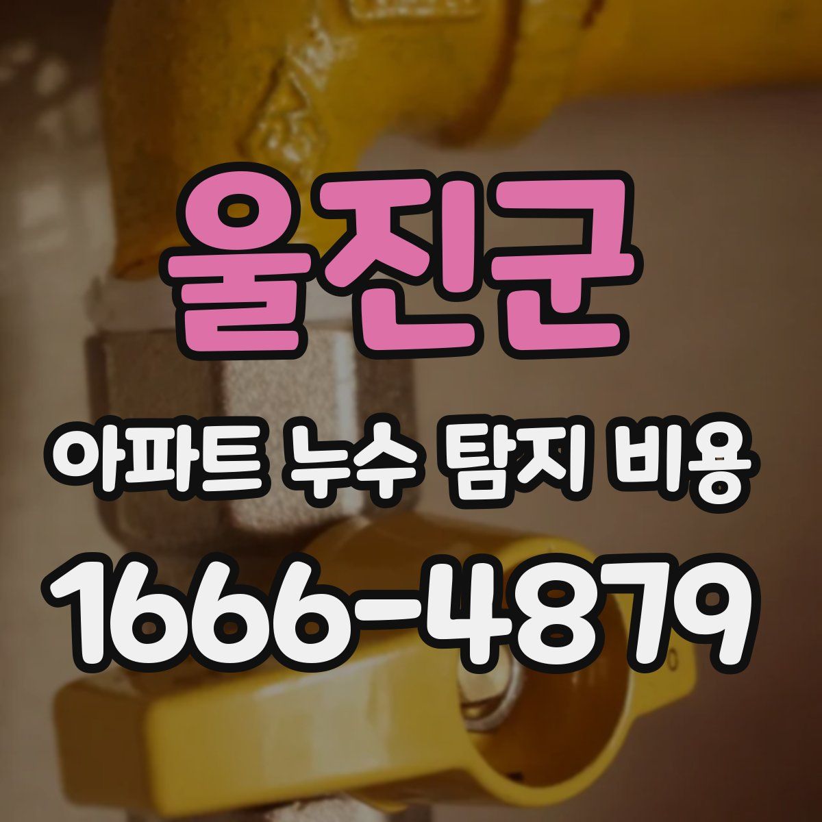 울진군 아파트 누수 탐지 비용