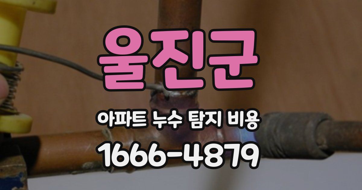 울진군 아파트 누수 탐지 비용