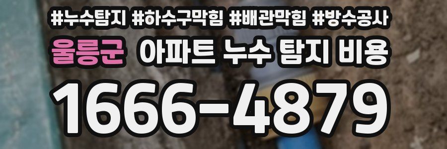 울릉군 아파트 누수 탐지 비용