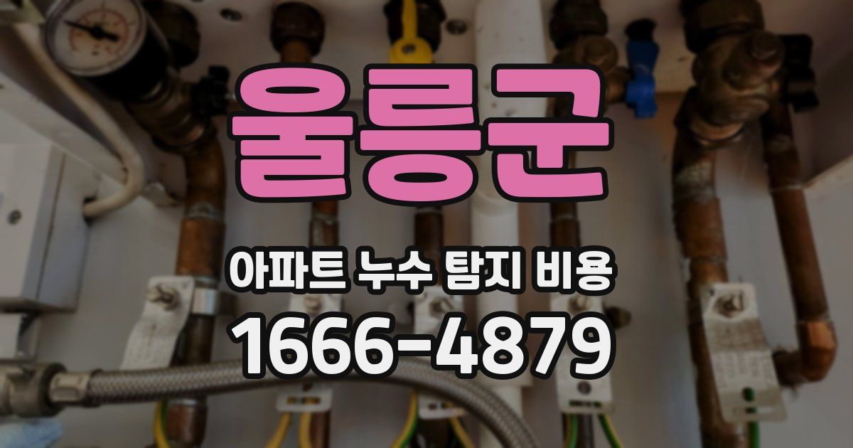 울릉군 아파트 누수 탐지 비용