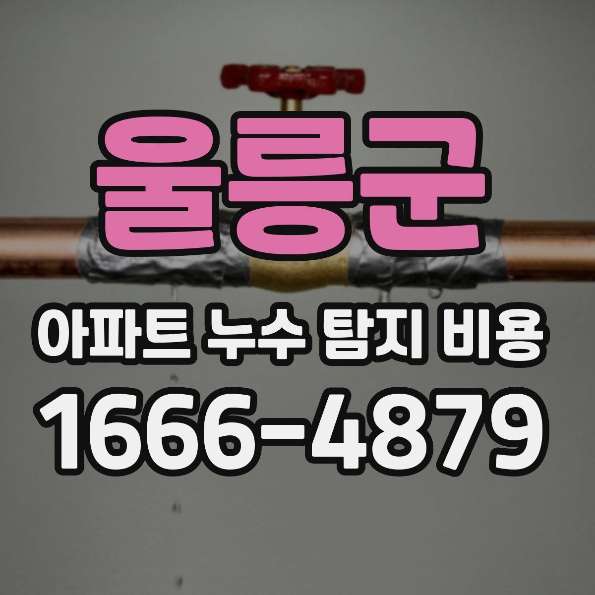 울릉군 아파트 누수 탐지 비용