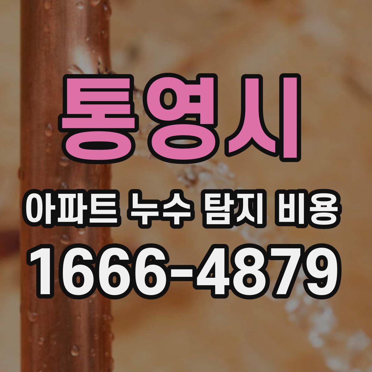통영시 아파트 누수 탐지 비용
