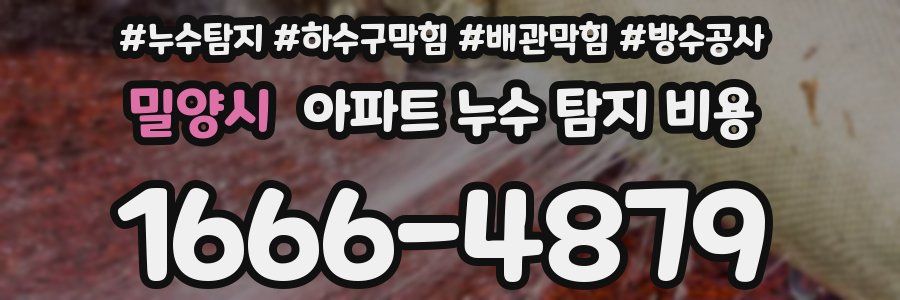 밀양시 아파트 누수 탐지 비용
