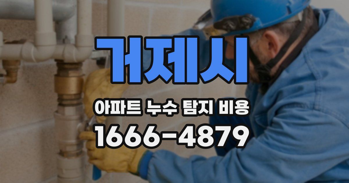 거제시 아파트 누수 탐지 비용