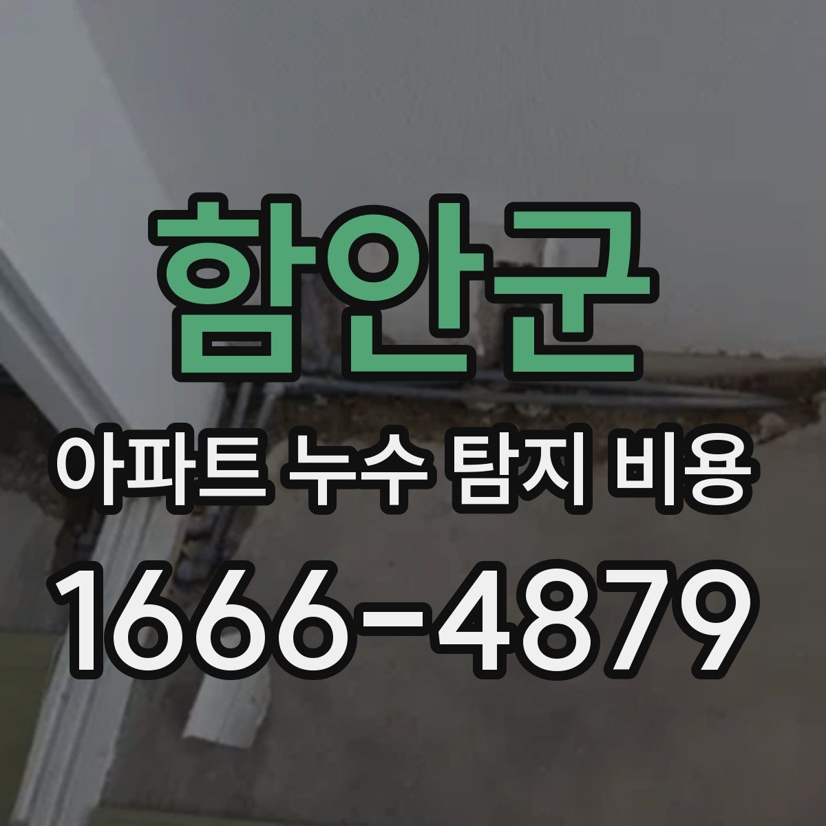 함안군 아파트 누수 탐지 비용