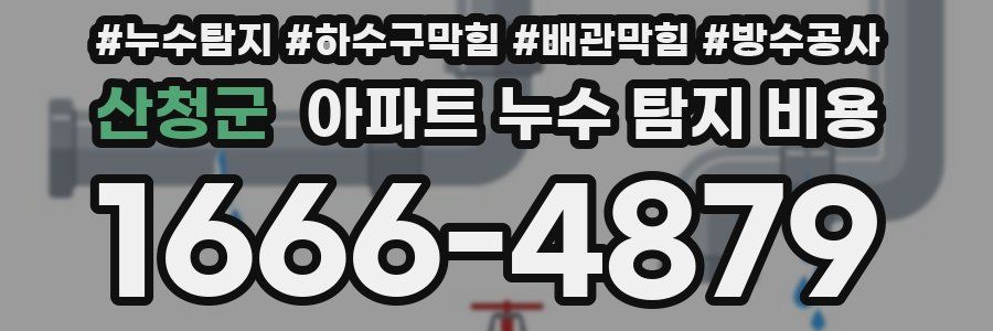 산청군 아파트 누수 탐지 비용