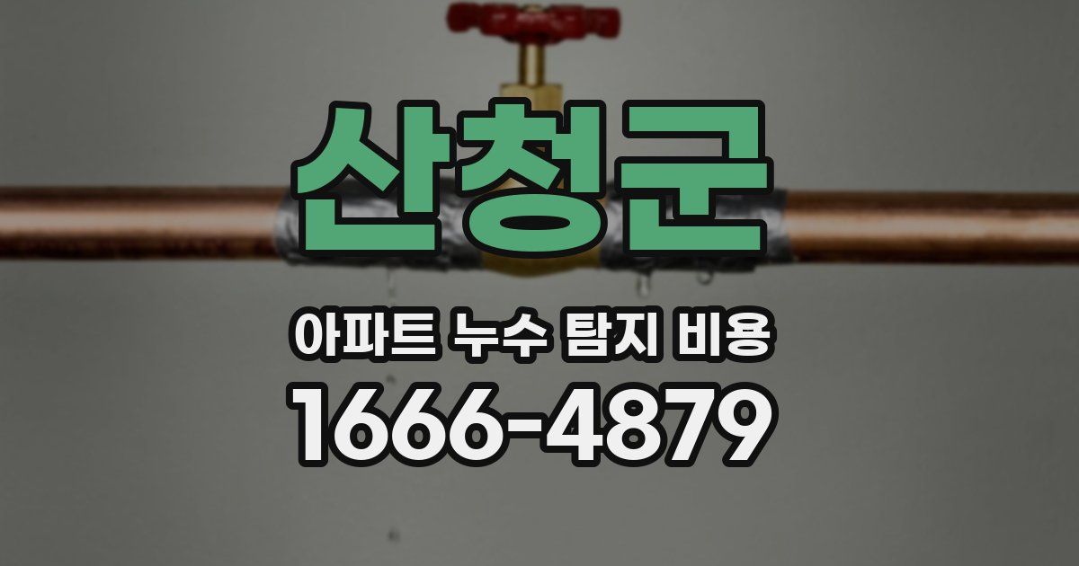 산청군 아파트 누수 탐지 비용