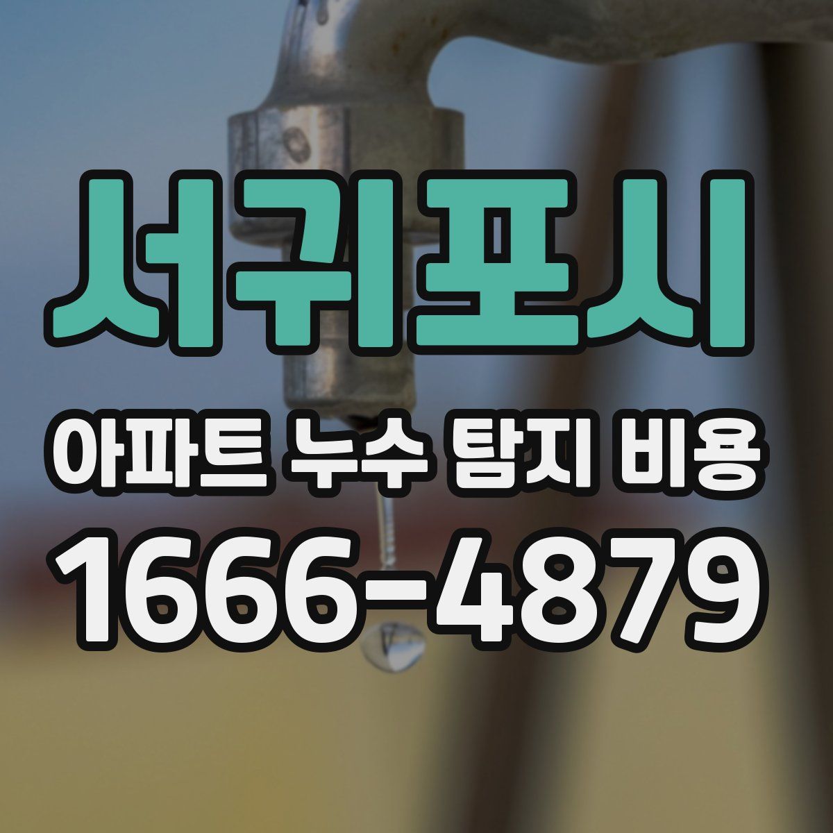 서귀포시 아파트 누수 탐지 비용