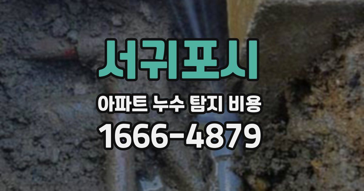 서귀포시 아파트 누수 탐지 비용